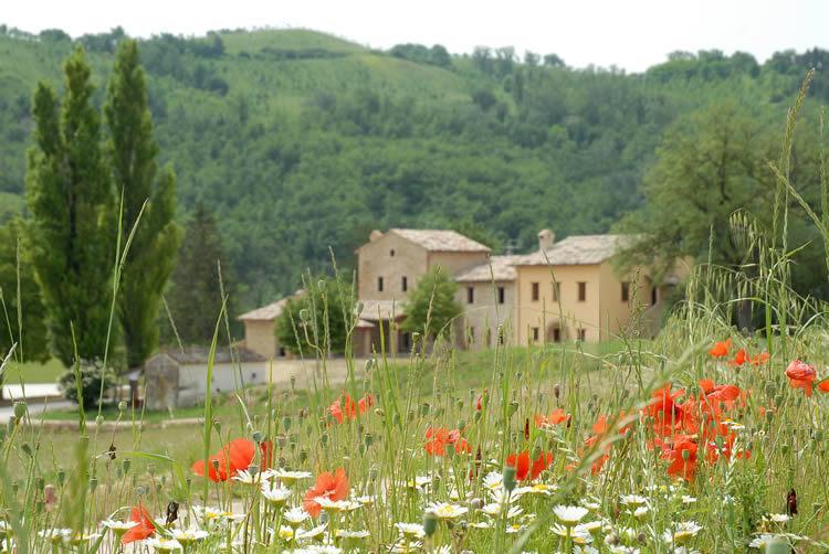 Villa Agriturismo Verziere à Fermignano Extérieur photo